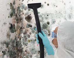 Best Air Quality Testing for Mold Spores  in Wood Ridge, NJ